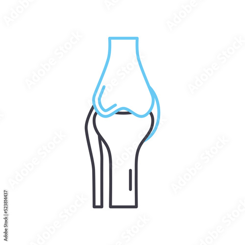 knee joint line icon, outline symbol, vector illustration, concept sign