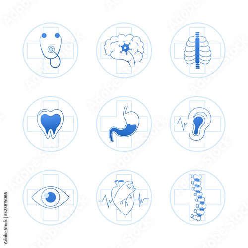 Medical specialties icon set isolated on white background, design element for scientific conference or infographic