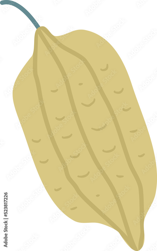 cocoa cocoa