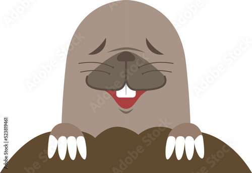 mole