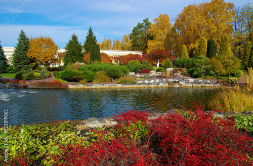 Autumn landscape with lake, green grass and colourful trees