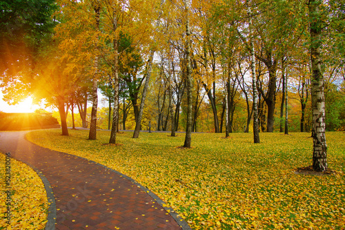 Autumn park with colorful fall foliage