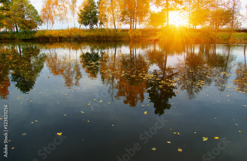 Autumn landscape with lake, green grass and colourful trees