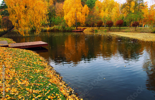 Autumn landscape with lake, green grass and colourful trees