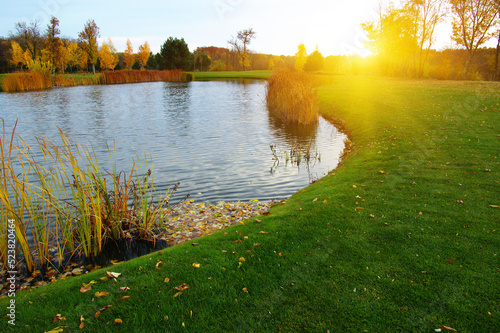 Autumn landscape with lake, green grass and colourful trees