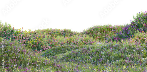 Meadow on a transparent background
