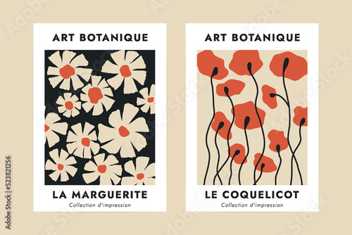 Botanical contemporary poster. Modern minimalist art print with spring flowers, vintage decoration. Modern vector set photo