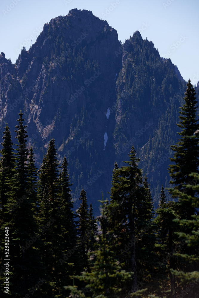 A pine forest leading up to a towering mountain with rocky terrain at Mt. Rainier, Washington.