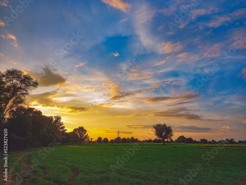 sunset over the field