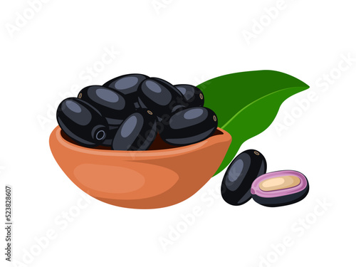 Vector illustration, Jambolan plum or Javanese plum, scientific name Syzygium cumini, isolated on a white background, exotic fruit as a medicinal herb.