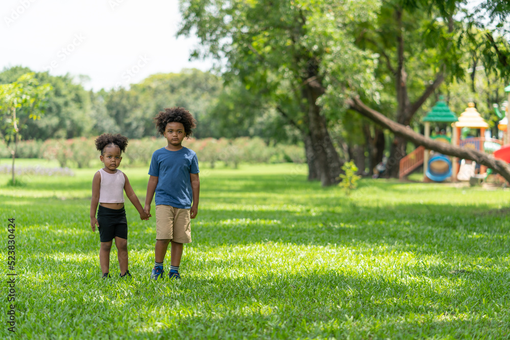 African American boy and little girl holding hands together while walking in park.Happy lovely kid brother and young sister.Family and relationship concept.