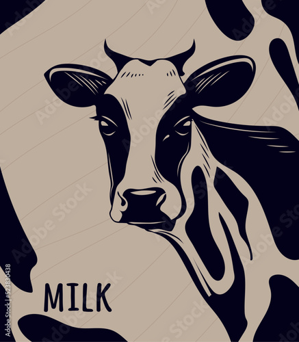 milk cow animal