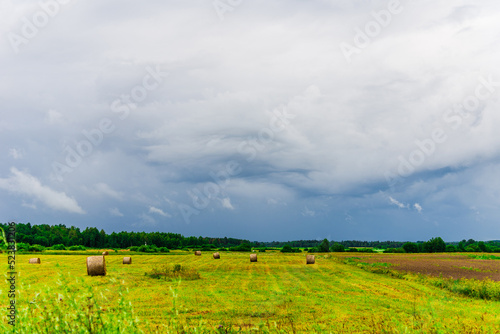 Agricultural farmland fields in gorgeous green valley surrounded by forest on stormy summer day.Bad weather evening.