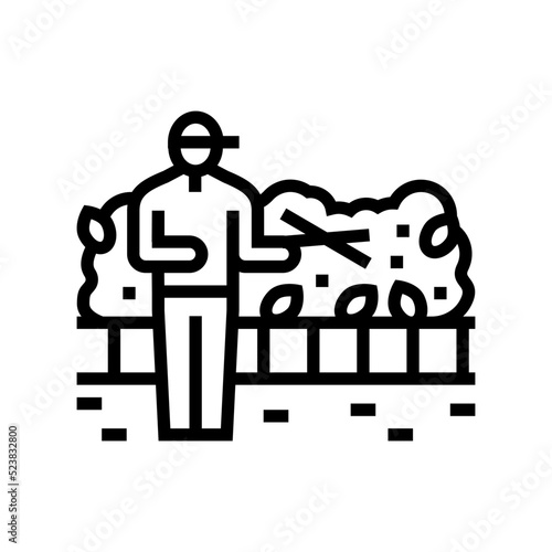 hedg bush shrub trimming line icon vector illustration