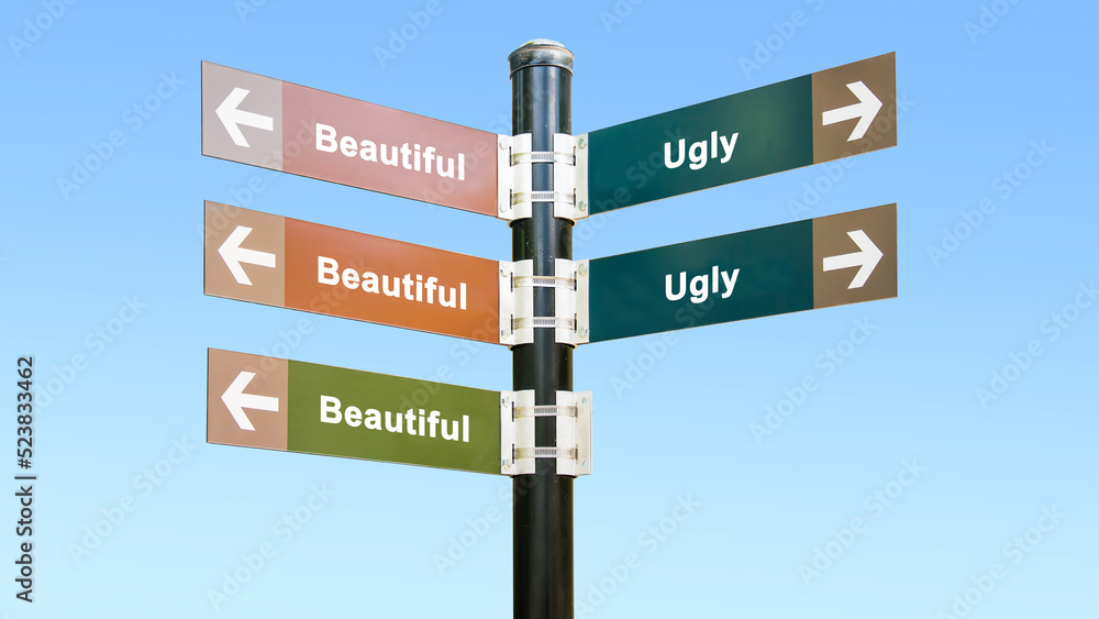 Fototapeta premium Street Sign Beautiful versus Ugly