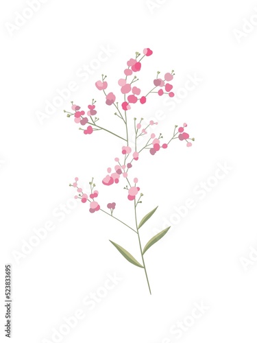 delicate pink flower. digital illustration hand drawn isolated on white background. flat style. use for design, logo, postcard printing, clothes print © Tatyana