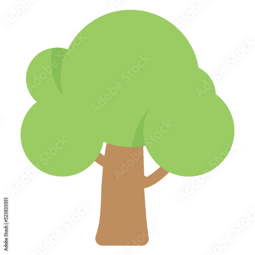 Elm Tree