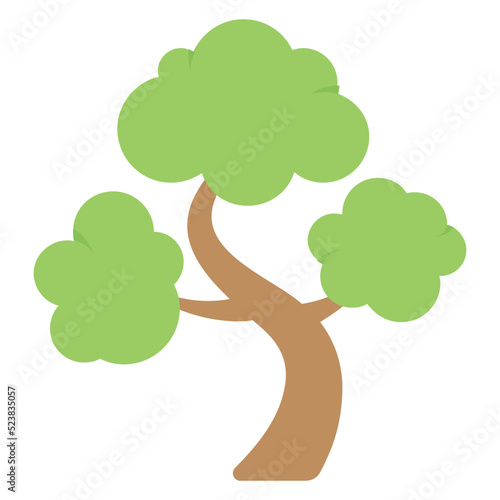 Bonsai Tree
