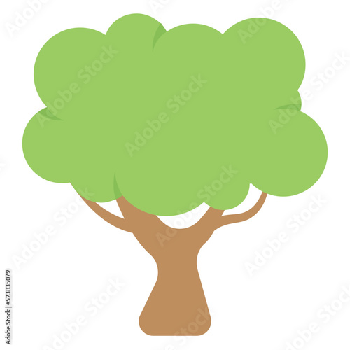 Apple Tree
