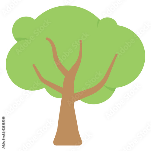 Walnut Tree