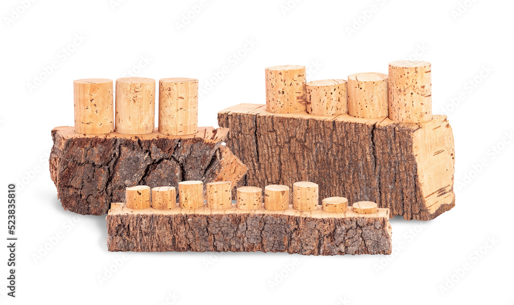 Obraz premium bottle caps made of natural cork wood in assortment