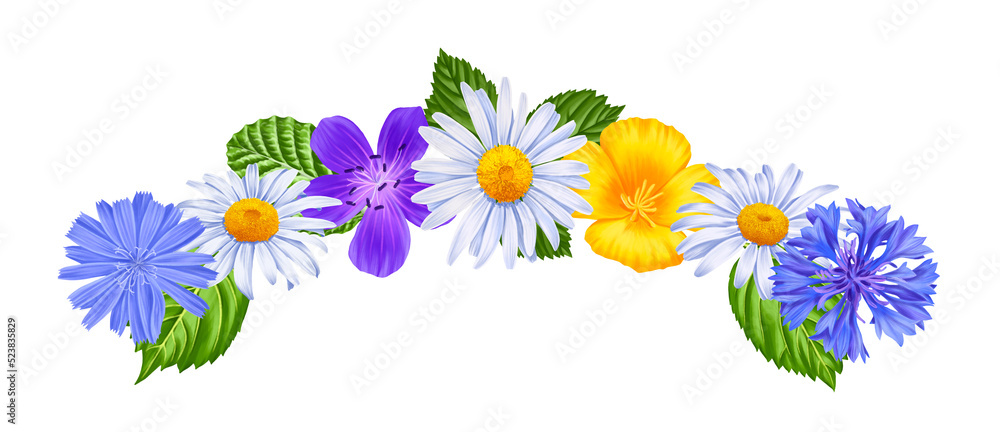 composition with drawing flowers at white background , wild white daisies, blue cornflower,heranium, yellow eschscholzia and chicory with green leaves, hand drawn botanical illustration