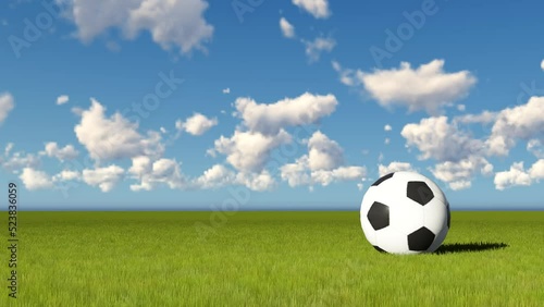 Timelapse view of soccer ball on green grass