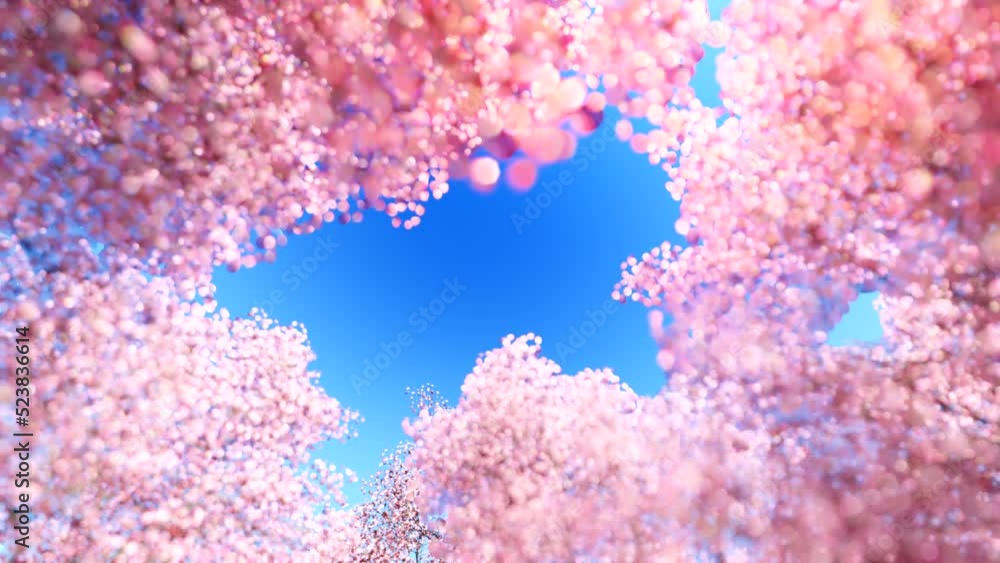 Animation of sakura with flowers sakura waving on wind Animation of sakura with flowers sakura waving on wind