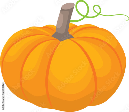 Orange pumpkin