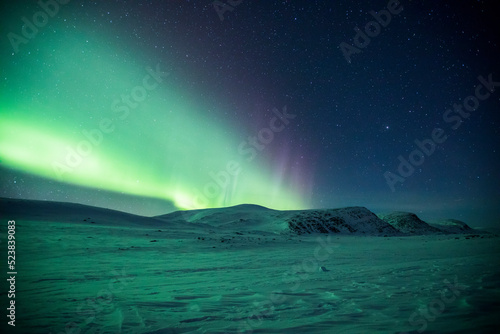 Northern lights in Reinheim Cabin  Dovrefjell National Park  Norway