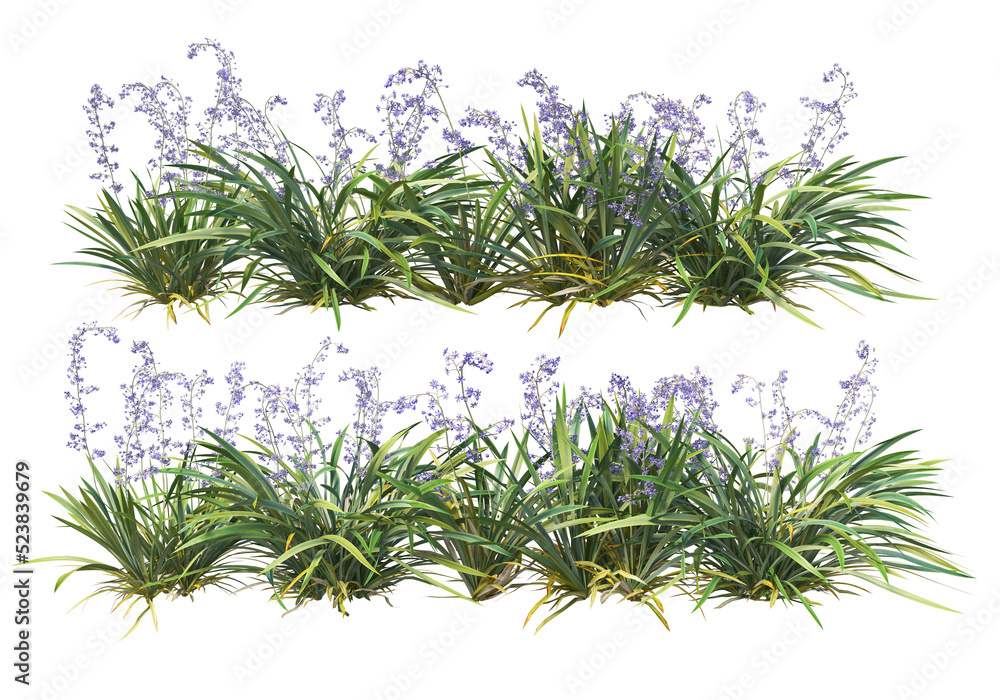 Shrubs and flower on a transparent background
Shrubs and flower on a transparent background