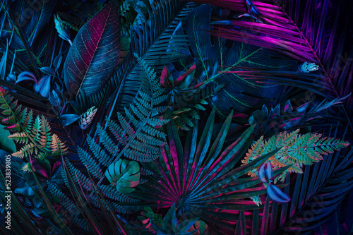 Creative layout installed with tropical colorful plants forest glow in the dark background.