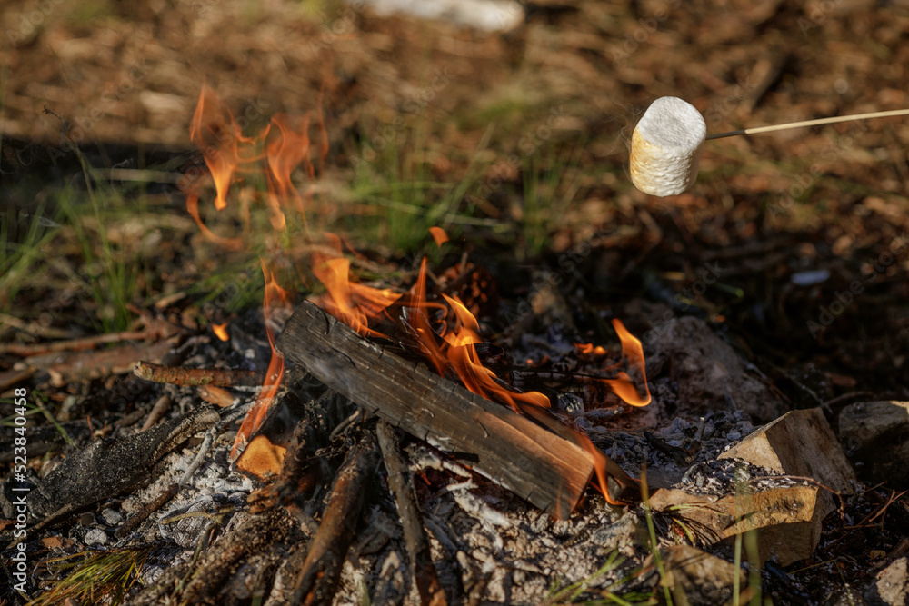 Fototapeta premium Roasting marshmallow on skewer over the bonfire in forest. The concept of adventure, travel, tourism and camping