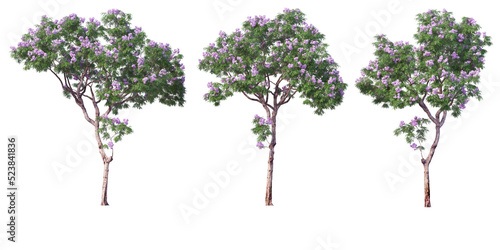 The tree has flowers on a transparent background 