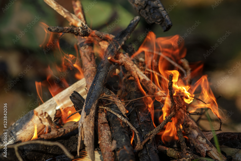 Close up of burning timber bonfire in summer forest..The concept of adventure, travel, tourism, camping, survival and evacuation. Close up of burning timber bonfire in summer forest..The concept of adventure, travel, tourism, camping, survival and evacuation.