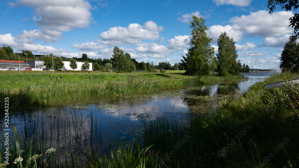 landscape with lake and trees