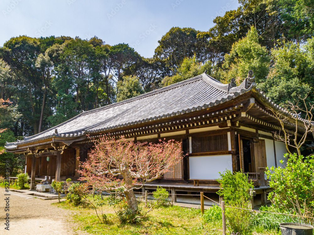 Main Hall of the Joruri-ji Temple in Kizugawa City, Kyoto, National Treasure of Japan Main Hall of the Joruri-ji Temple in Kizugawa City, Kyoto, National Treasure of Japan