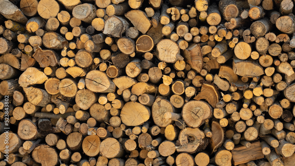 Cross section of tree trunks background. Cutting tree trunks placed together for interior decorate, background Cross section of tree trunks background. Cutting tree trunks placed together for interior decorate, background