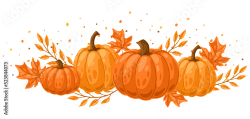 Background with pumpkins and leaves. Decorative image of autumn vegetable and plant.