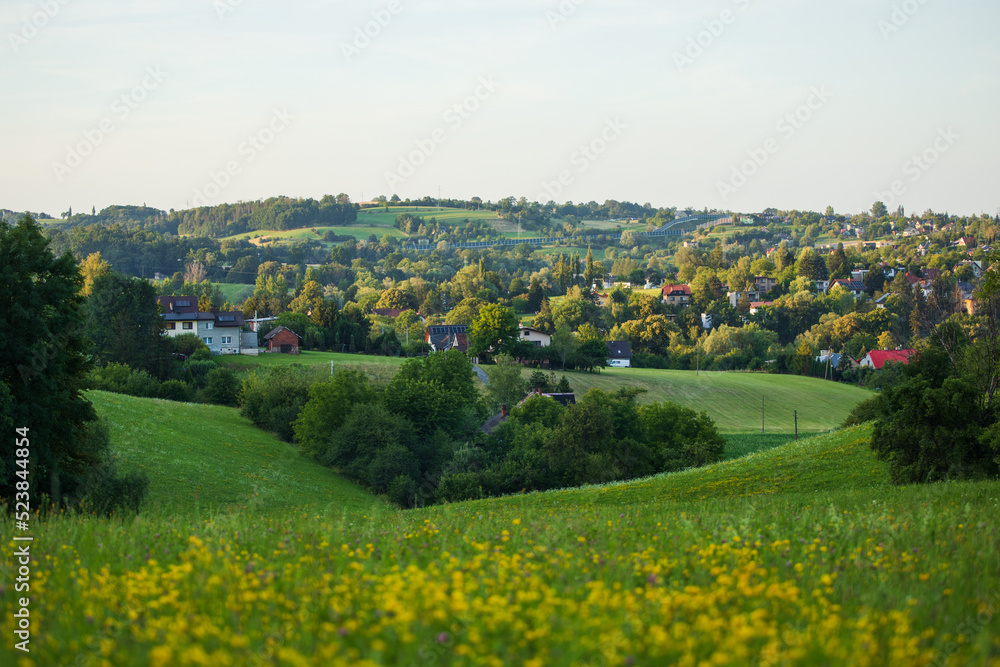 European countryside landscape with hills, meadow trees and houses