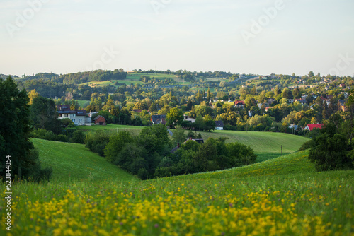 European countryside landscape with hills, meadow trees and houses