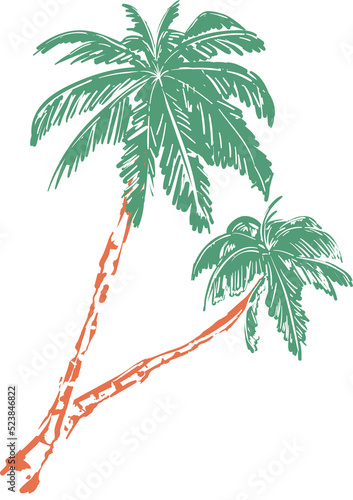 Hand drawn cute palm tree ALOHA HAWAII illustration