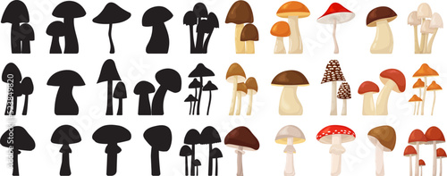 Obraz na plátně silhouette mushrooms collection isolated, vector