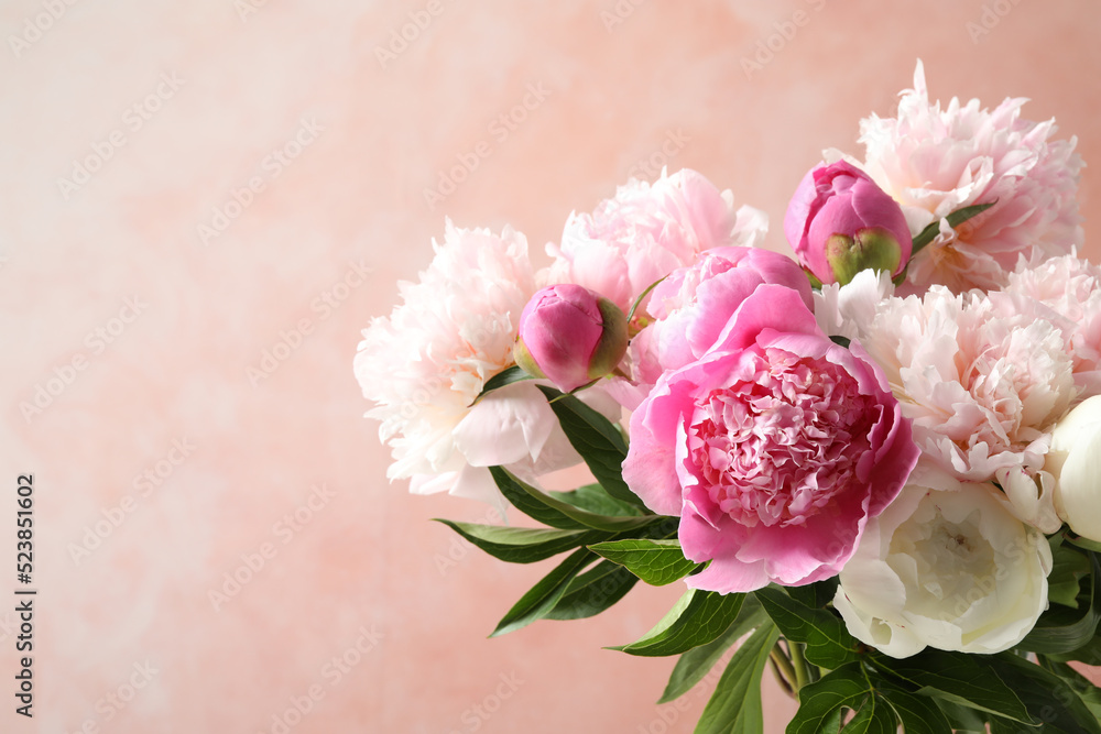 Beautiful peony bouquet on pink background, closeup