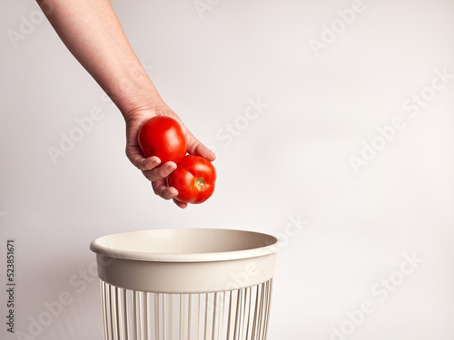 Canvas Print Expired tomatoes were thrown into the trash for disposal and recycling