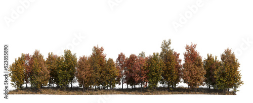 Meadows and forests in autumn on a transparent background.