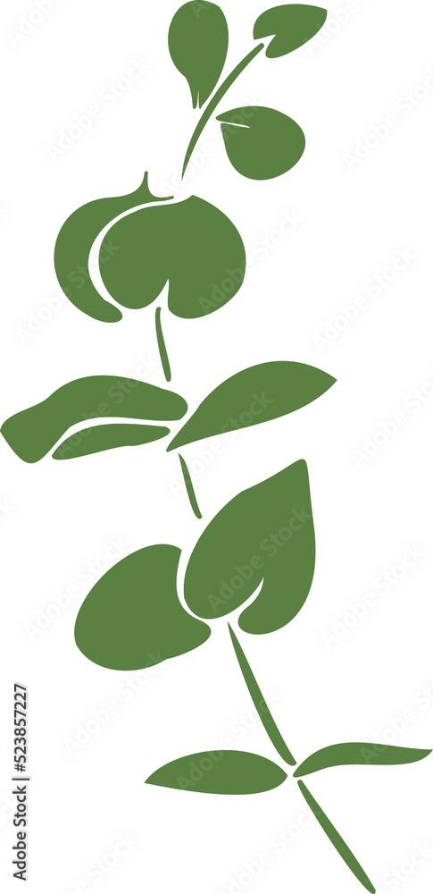 Botanical Flower Illustration Floral Botanical Flower Illustration Floral