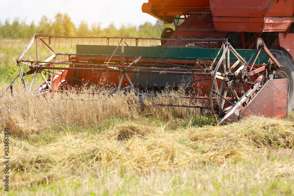 close up of combine slowly drives through the field and harvests the winter wheat crop. Cultivation of grain crops in the farm. Harvesting grain. Food security in the world. Organic farming. close up of combine slowly drives through the field and harvests the winter wheat crop. Cultivation of grain crops in the farm. Harvesting grain. Food security in the world. Organic farming.