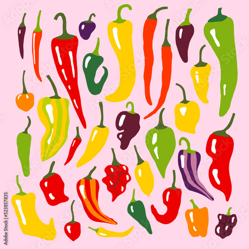 Hot peppers colorful set. Spicy flat hand drawn peppers - chili, habanero, cayenne. Cute cooking print with mexican jalapeno, padron, serrano paprika.
