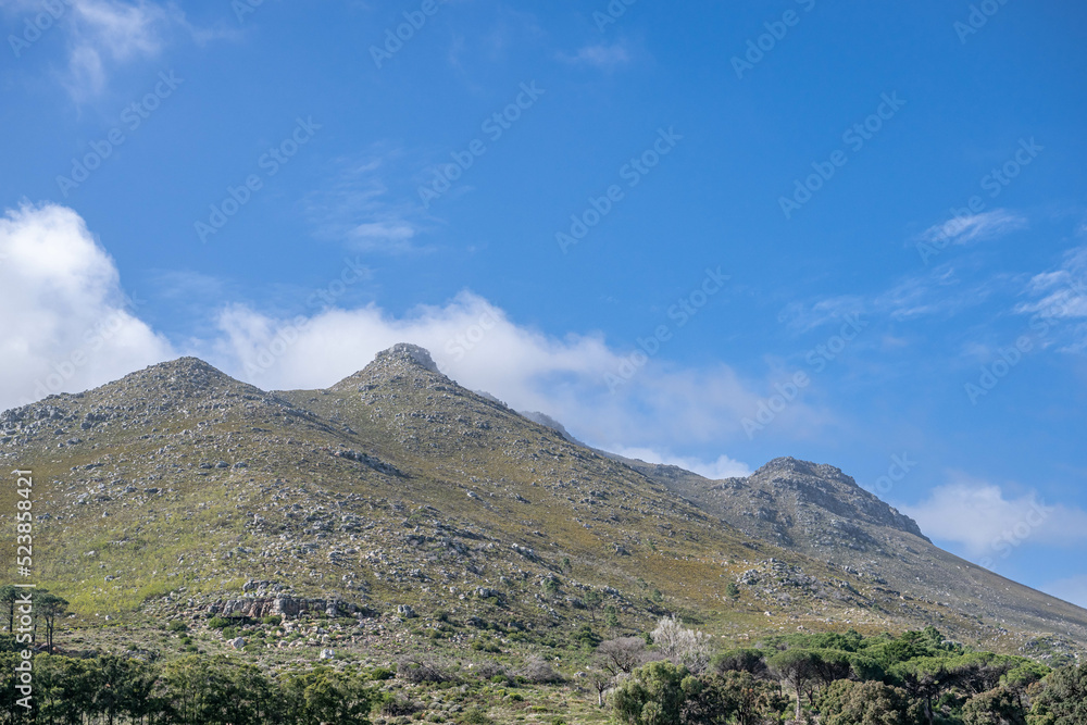 Obraz premium creative